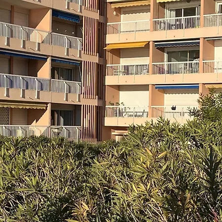 Le Mediterranee Vasapolli Fréjus